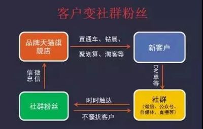 社群淘客 從淘寶天貓出發，玩轉社交電商的實戰指南
